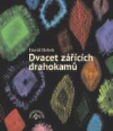 Hrbek David Dvacet zářících drahokamů