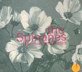 Spinanes Arches & Aisles