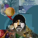 Badly Drawn Boy It's what i'm thinking