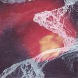 Western Vinyl Light Science