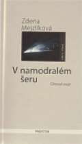 Prostor V namodralém šeru