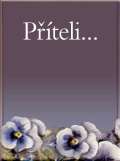 Slovart Pteli... (krabika) - 2. vydn