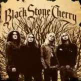 Roadrunner Black Stone Cherry