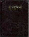 Karmelitnsk nakladatelstv Mal Jeruzalmsk bible