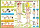 Computer Media Karta "Human Body and Appearance" - Lidsk tlo
