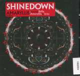 Shinedown Amaryllis