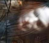 Prophecy Dor -Digipack Edition-