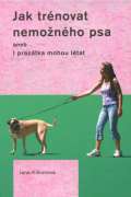 Plot Jak trnovat nemonho psa