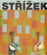 KANT Střížek