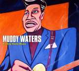 Waters Muddy Rolling Stones Blues