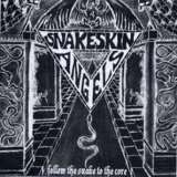 Sound Pollution Follow the Snake to the Core