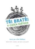 Nakladatelství 65. pole Tři bratři v cizích světech