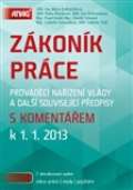 Anag Zkonk prce 2013 s komentem