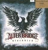 Alter Bridge Blackbird