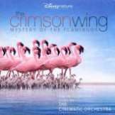 Cinematic Orchestra Crimson Wing - Mystery of the Flamingos