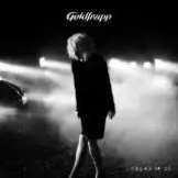Goldfrapp Tales Of Us Digi
