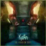 Korn Paradigm Shift