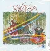 Synaesthesia Synaesthesia