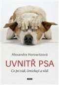 Práh Uvnitř psa