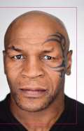 TIMY Partners s.r.o. Mike Tyson - ist pravda