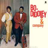 Diddley Bo & Company