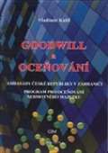 CERM Goodwill a oceňování