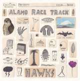 Alamo Race Track Hawks