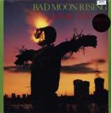 Sonic Youth Bad Moon Rising