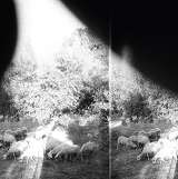 Godspeed You! Black Emperor Asunder Sw