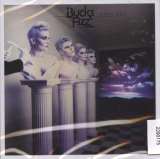 Bucks Fizz Hand Cut