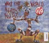 Public Image Ltd What The World Needs Now