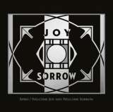 Real World Welcome Joy and Welcome Sorrow