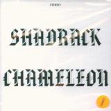 Shadrack Chameleon Shadrack Chameleon