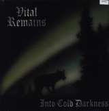 Vital Remains Into Cold Darkness 