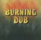 Revolutionaries Burning Dub