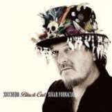 Zucchero Black Cat