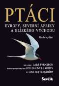 evk Ptci Evropy, Severn Afriky a Blzkho vchodu