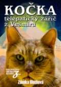 Blechová Zdenka Kočka