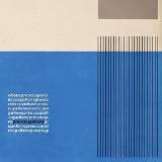 Jagjaguwar Preoccupations