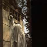 Dead Can Dance Within The Realm Of A Dying Sun
