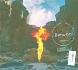 Bonobo Migration