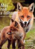 Fontna Mj rok s likami