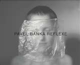 Artmap Pavel Baňka Reflexe