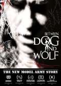 New Model Army Between Dog And Wolf