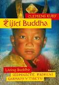 Eminent ijc Buddha