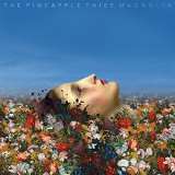 Pineapple Thief, The Magnolia
