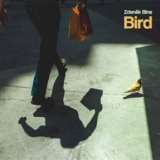 Indies Records Bird