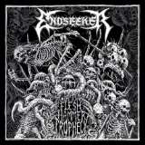 Afm Flesh Hammer Prophecy Ltd.
