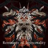 Eternal Solstice Remnants Of Immortali