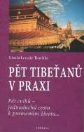 Fontna Pt Tibean v praxi